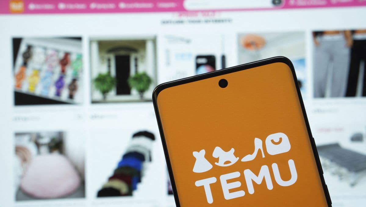 Les statuts les plus courants dans le Suivi de commande Temu