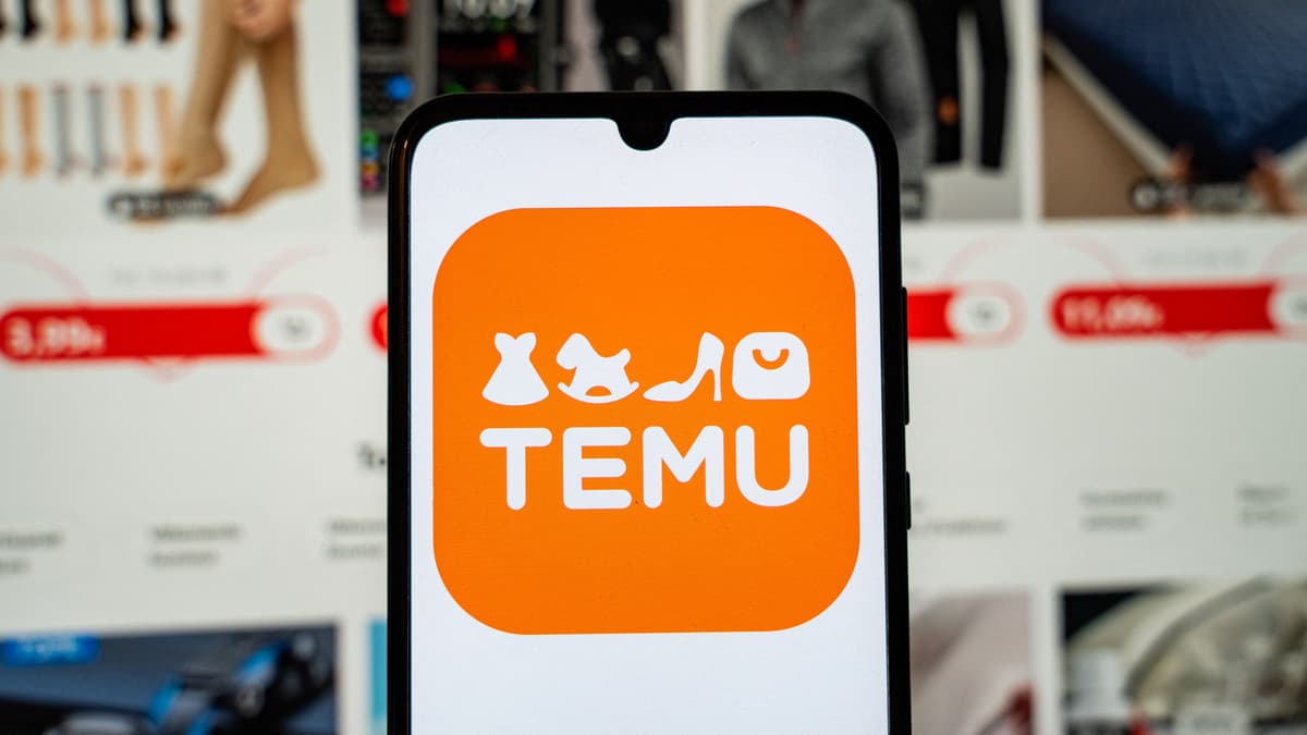 Les catégories de produits les plus influencées par les recommandations d’achats sur Temu