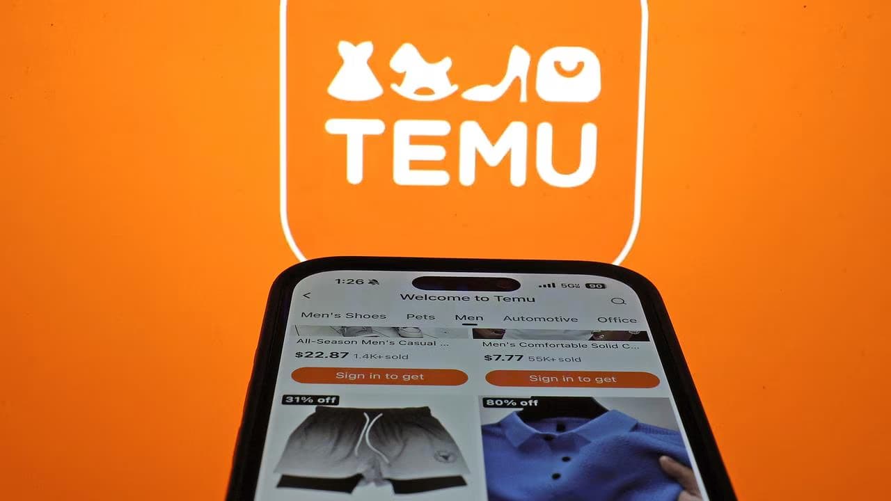 Catégories les plus concernées par les offres mensuelles Temu